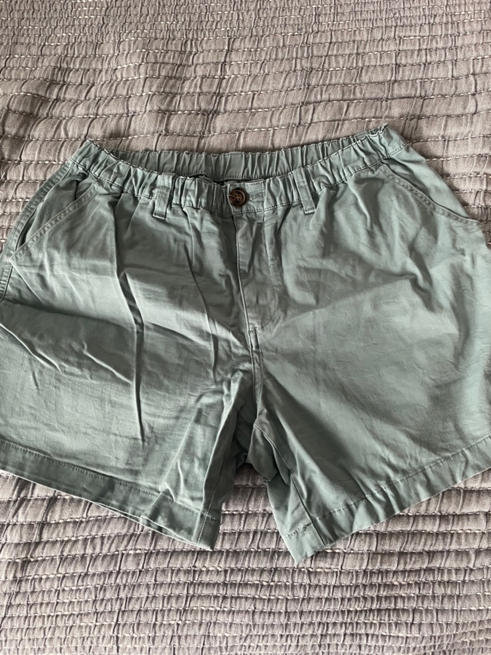 chubbies Men's teal Casual Shorts